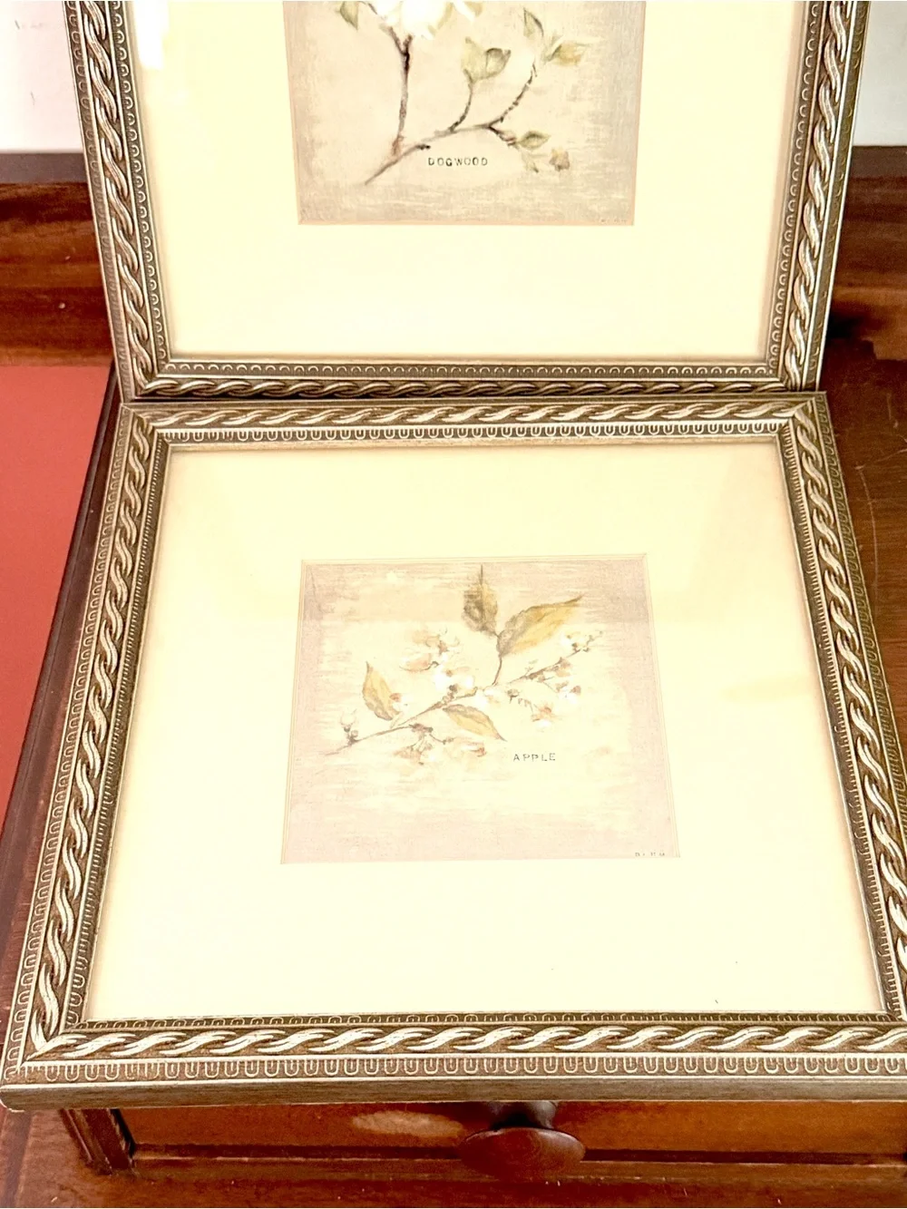 Dogwood & Apple Tree Branch Spring Cheri Blum Cottage Art Framed Wall Hanging